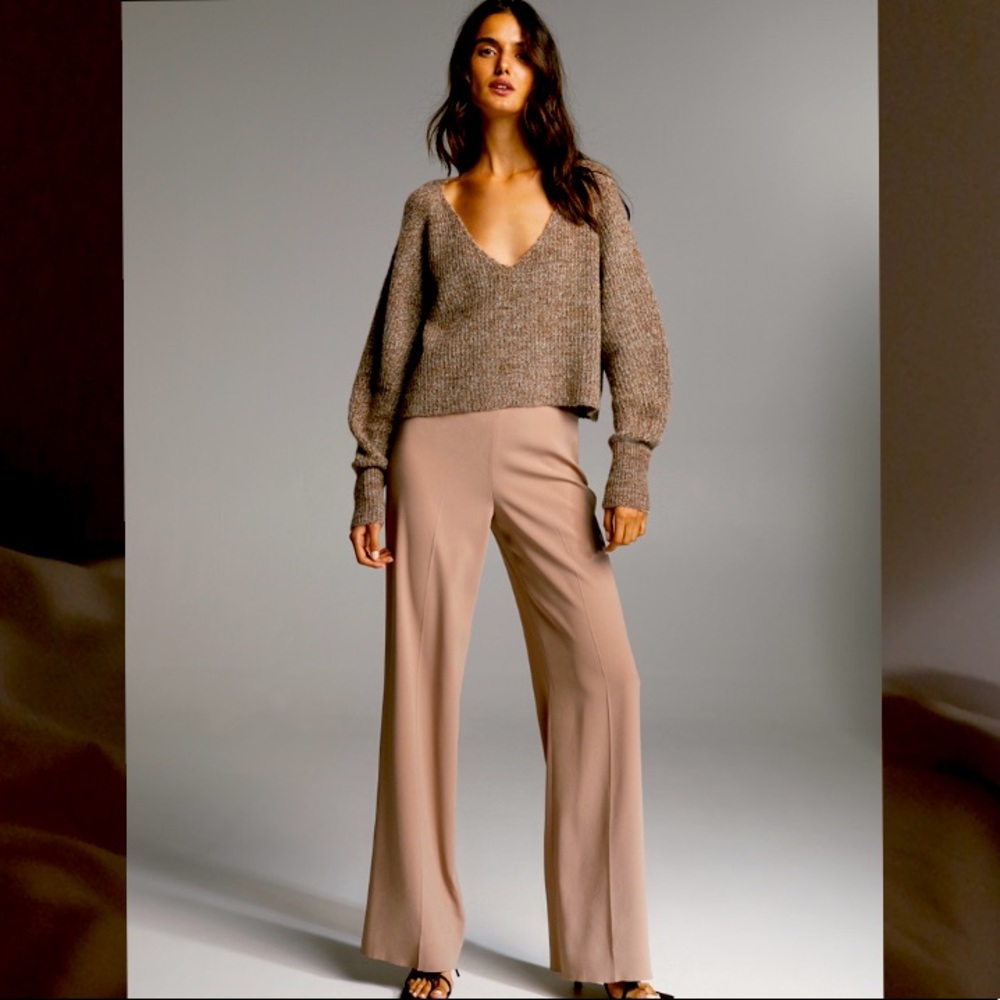 Aritzia babaton pant